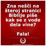 voda u vine.jpg