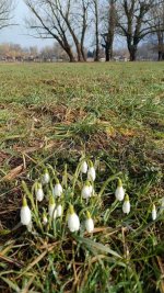 1000030279.jpg 1000030279.jpg