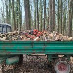 WhatsApp Image 2026-02-19 at 12.21.06.jpeg