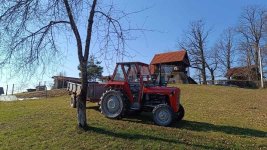 1000031217.jpg 1000031217.jpg