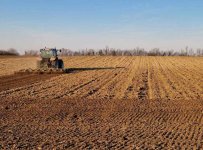 1000078805.jpg 1000078805.jpg