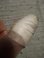 bosch rezidba 9.3.2026.jpg