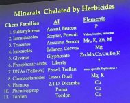 WhatsApp Image 2026-03-18 at 12.08.20.jpeg