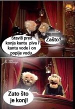 pivo i voda.jpg