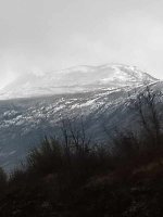 1000007984.jpg 1000007984.jpg