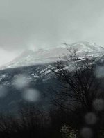 1000007982.jpg 1000007982.jpg