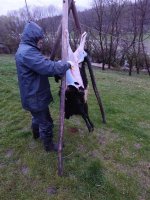 1000063666.jpg 1000063666.jpg