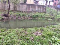 1000063799.jpg 1000063799.jpg