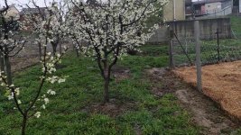 1000063793.jpg 1000063793.jpg