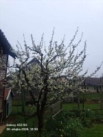 1000038206.jpg 1000038206.jpg