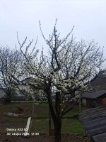 1000038209.jpg 1000038209.jpg