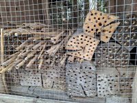 pčele i bumbari 1.jpg