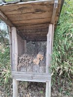 pčele i bumbari 2.jpg