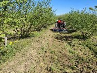 frezanje 11 2026.jpg