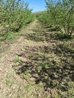 frezanje 12 2026.jpg