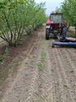 freza pipalica 1 2026.jpg