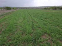 20260414_161658.jpg 20260414_161658.jpg