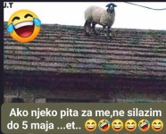 FB_IMG_1777560226512.jpg