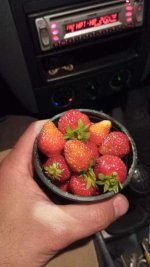 IMG-20260502-WA0017.jpeg