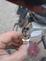20260504_194838.jpg