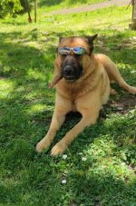 WhatsApp Image 2026-05-02 at 13.58.36.jpeg