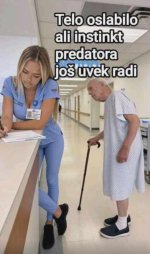 instinkt.jpg