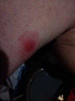 20260519_204205303.jpg