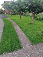 1000042320.jpg