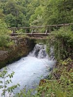 20260605_105135.jpg