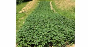 IMG_2026-06-10-163900.jpeg