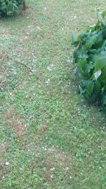 20260614_165702.jpg