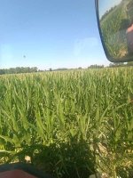 IMG_20260629_103412.jpg
