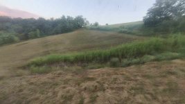 IMG_20260702_204206.jpg