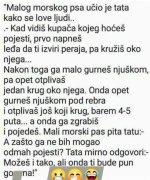 FB_IMG_1783176296760.jpg