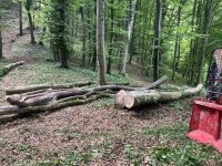 IMG_1285.jpeg
