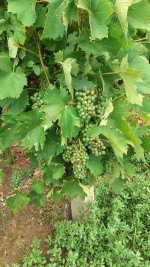 20260708_094458.jpg