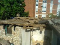 IMG_20260625_084650.jpg