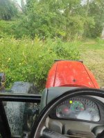 IMG_20260710_193421.jpg
