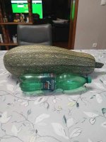 20260720_221323.jpg