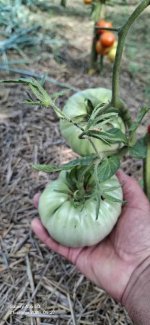 20260721_092739.jpg 20260721_092739.jpg