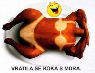 Koka z mora.jpg