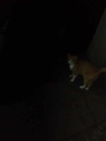 20260728_213920943.jpg