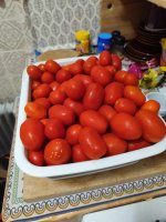 1000076516.jpg