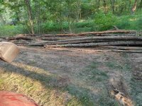 IMG_20260731_185952.jpg