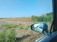 IMG_20260806_090200.jpg
