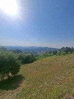 20260806_161632.jpg