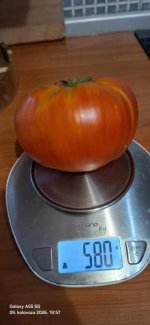 20260809_195718.jpg