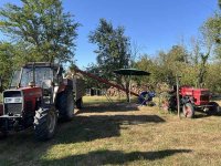 IMG_1399.jpeg