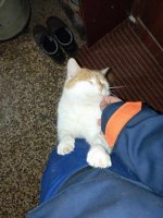 IMG_20250221_181240.jpg