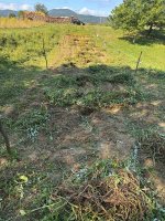 IMG_2026-08-20-221947.jpeg